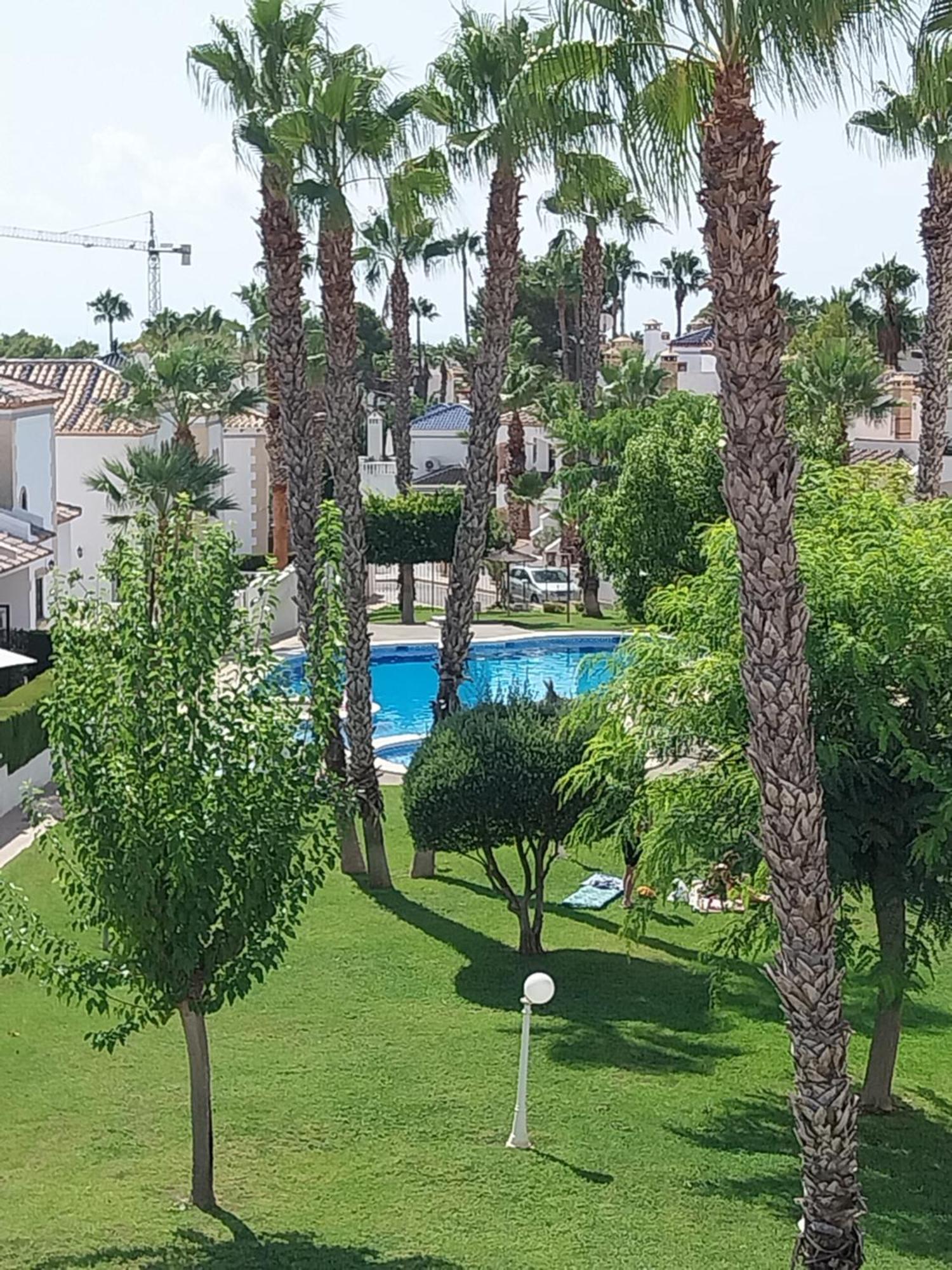 Charming Apartment In Front Of Villamartin Golf And Plaza Dış mekan fotoğraf