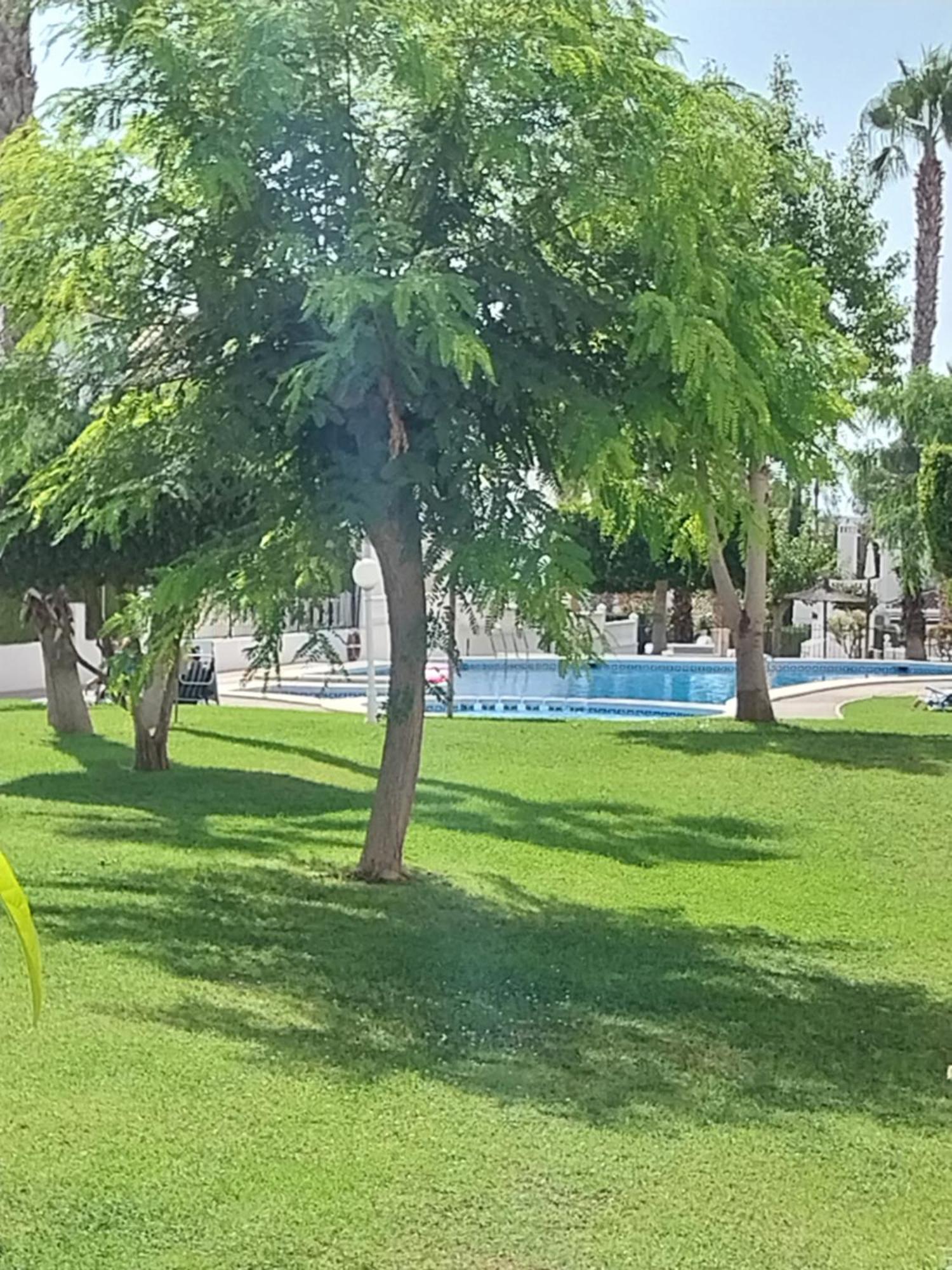 Charming Apartment In Front Of Villamartin Golf And Plaza Dış mekan fotoğraf